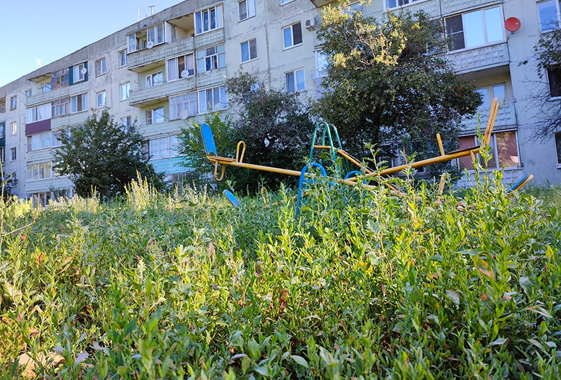 В Вольске детская площадка заросла травой по пояс