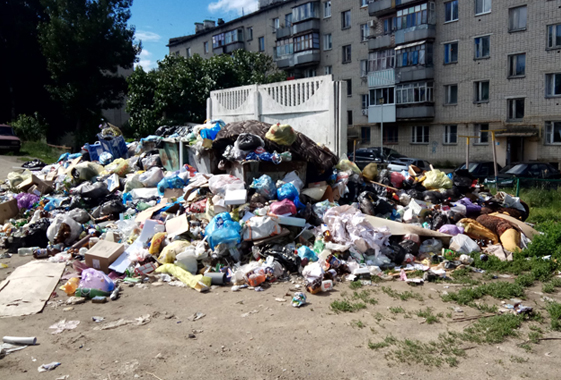 Жилищное управление Минобороны месяц не вывозит мусор из военного городка