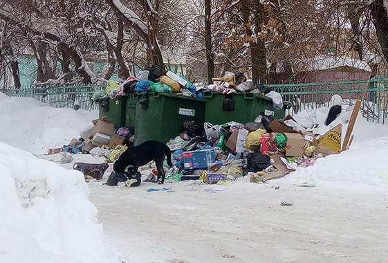 Прокурор считает работу по вывозу мусора в Вольске отвратительной